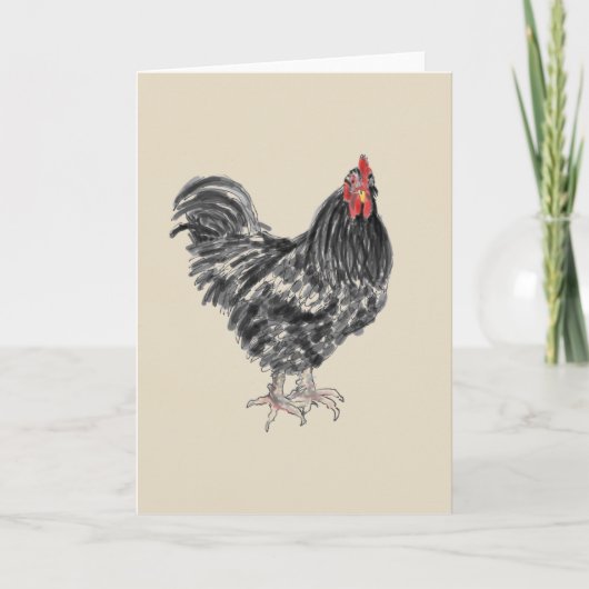 Carte de voeux vierge de poulet (Devant)