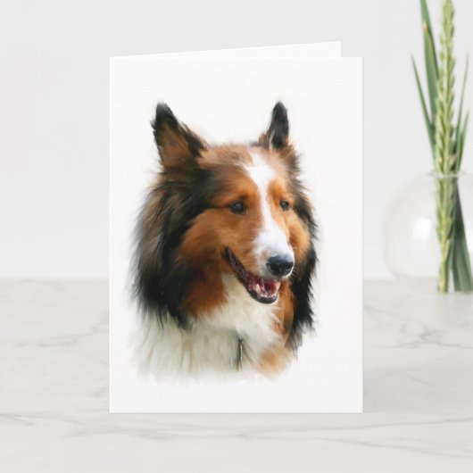 Carte de voeux vierge de Sheltie (Devant)