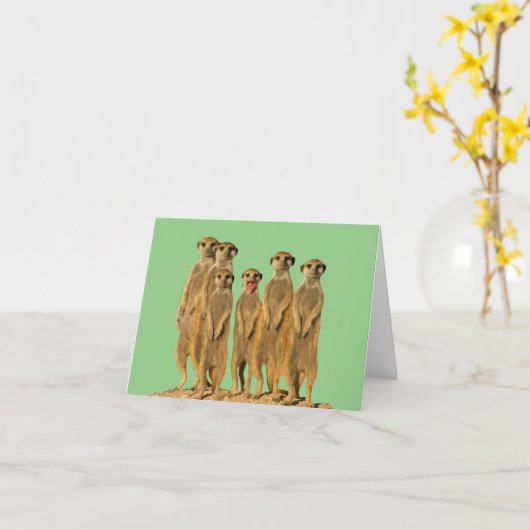 Carte de vœux vierge de suricate (Fleur jaune)