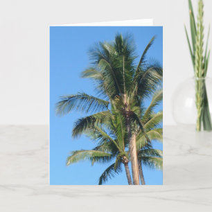 Carte de voeux vierge de Tree* de *Palm