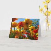 Carte de voeux vierge des tulipes 8 (Fleur jaune)