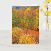 Carte de voeux vierge 'Fiery Autumn' (Fleur jaune)