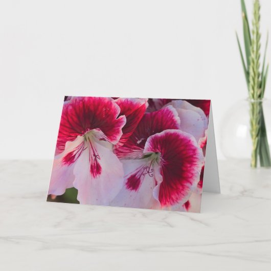 Carte de vœux vierge fleurs roses et blanches (Devant)