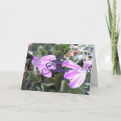 Carte de vœux vierge Fleurs violettes d'amour éter (Devant)
