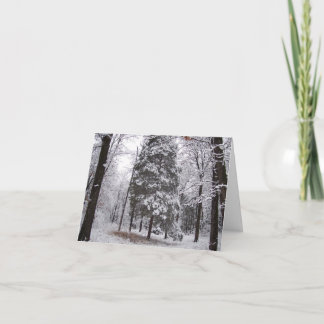 Carte de vœux vierge Forêt d'hiver