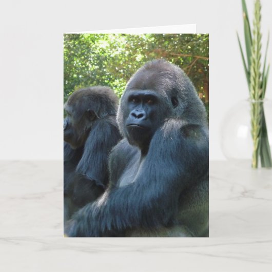 Carte de voeux vierge Gorilla (Devant)