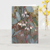 Carte de voeux vierge - Gum Nuts (Fleur jaune)