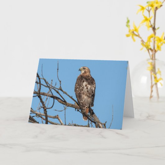 Carte de voeux vierge Hawk (Fleur jaune)