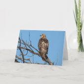 Carte de voeux vierge Hawk (Devant)
