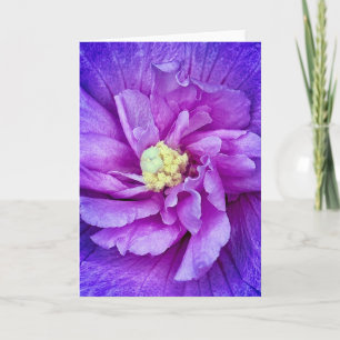 Carte de voeux vierge Hibiscus Lavender Chiffon