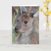 Carte de voeux vierge - Kangaroo Joey (Fleur jaune)