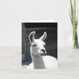 Carte de vœux vierge Llama souriant
