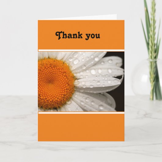 Carte de voeux vierge Merci Daisy Summer Daisy (Devant)