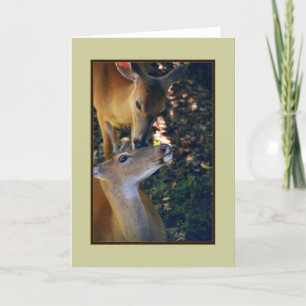 Carte de voeux vierge 'Nuzzling Deer Duo'