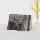 Carte de voeux vierge : Orignaux riants (Fleur jaune)