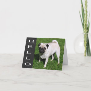 Carte de vœux vierge Pug Chien Tableau noir Bonjou