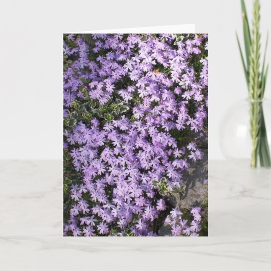 Carte de voeux vierge 'Purple Springtime' (Devant)