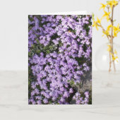 Carte de voeux vierge 'Purple Springtime' (Fleur jaune)