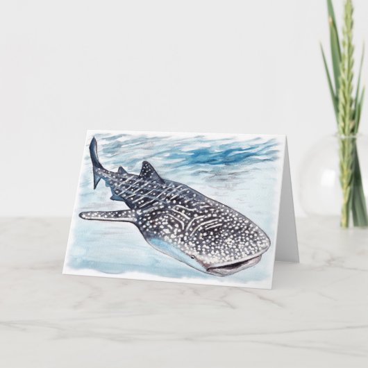 Carte de vœux vierge représentant une Requin Balei (Devant)
