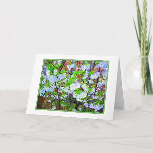Carte de voeux vierge 'Spring Blossoms' (Devant)