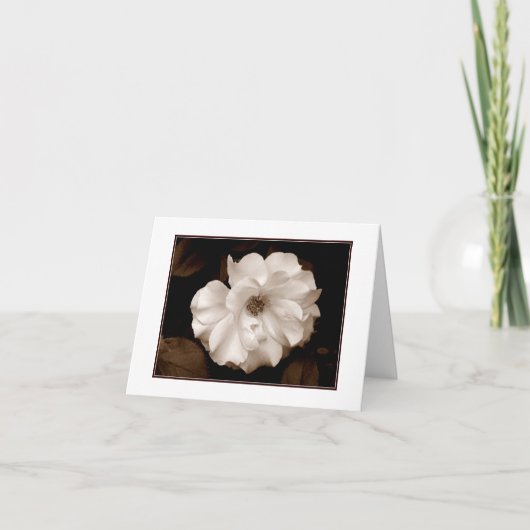 Carte de vœux vierge 'Spring Sepia Rose' (Devant)