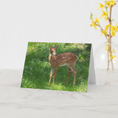 Carte de voeux vierge trouvée (Fleur jaune)