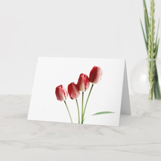Carte de voeux vierge tulipes rouges (Devant)