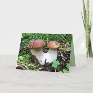 Carte de voeux vierge unie de photo de champignons