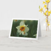 Carte de voeux vierge unique jonquille pliée (Fleur jaune)