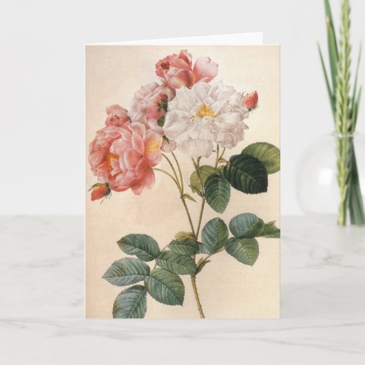 Carte de voeux vintage Art Rose (Devant)