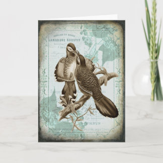 Carte de voeux vintage Bird Couple