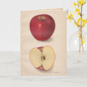 Carte de voeux vintage pour les pommes (Fleur jaune)