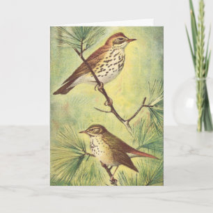 Carte de voeux vintage Thrushes