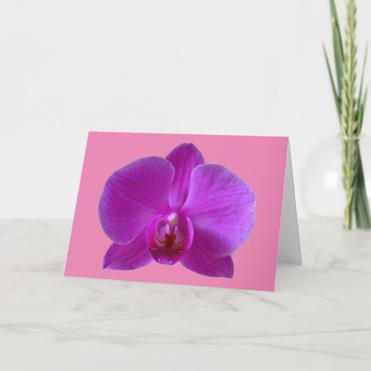 Carte de voeux violet orchidée (Devant)