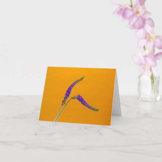 Carte de voeux violet Veronicas (Orchidée)