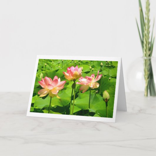 Carte de voeux Water Lily (Devant)