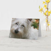 Carte de voeux West Highland Terrier (Fleur jaune)