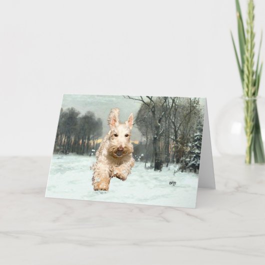 Carte de voeux Wheaten Scottish Terrier (Devant)