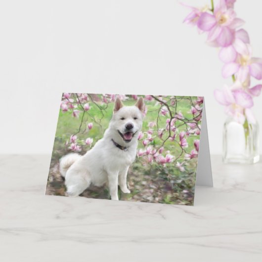 Carte de voeux - White Akita (Orchidée)