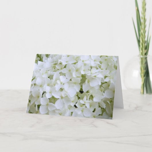 Carte de voeux - White Hydrangea (Devant)