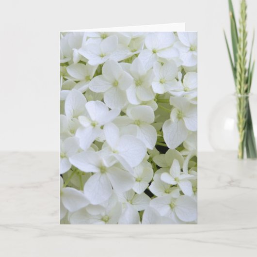 Carte de voeux - White Hydrangea (Devant)