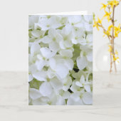 Carte de voeux - White Hydrangea (Fleur jaune)