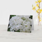Carte de voeux White Hydrangeas (Fleur jaune)