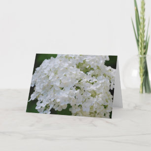 Carte de voeux White Hydrangeas
