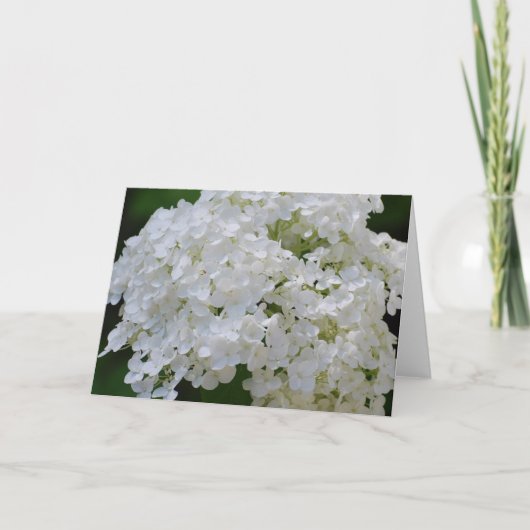 Carte de voeux White Hydrangeas (Devant)