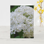 Carte de voeux White Hydrangeas (Fleur jaune)