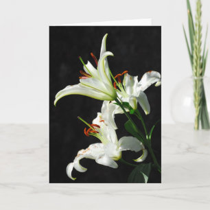 Carte de voeux White Lilies