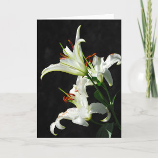 Carte de voeux White Lilies