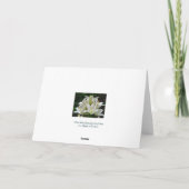 Carte de voeux White Lilies (Dos)