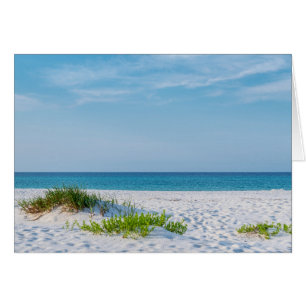 Carte de voeux White Sandy Beach Florida Coastline